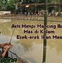 Mimpi Dapat Ikan Gabus Erek Erek Togel